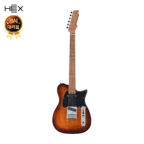Hex헥스 탤런트 시리즈 일렉기타 T200 SG VB Hex Talent Series Electric Guitar